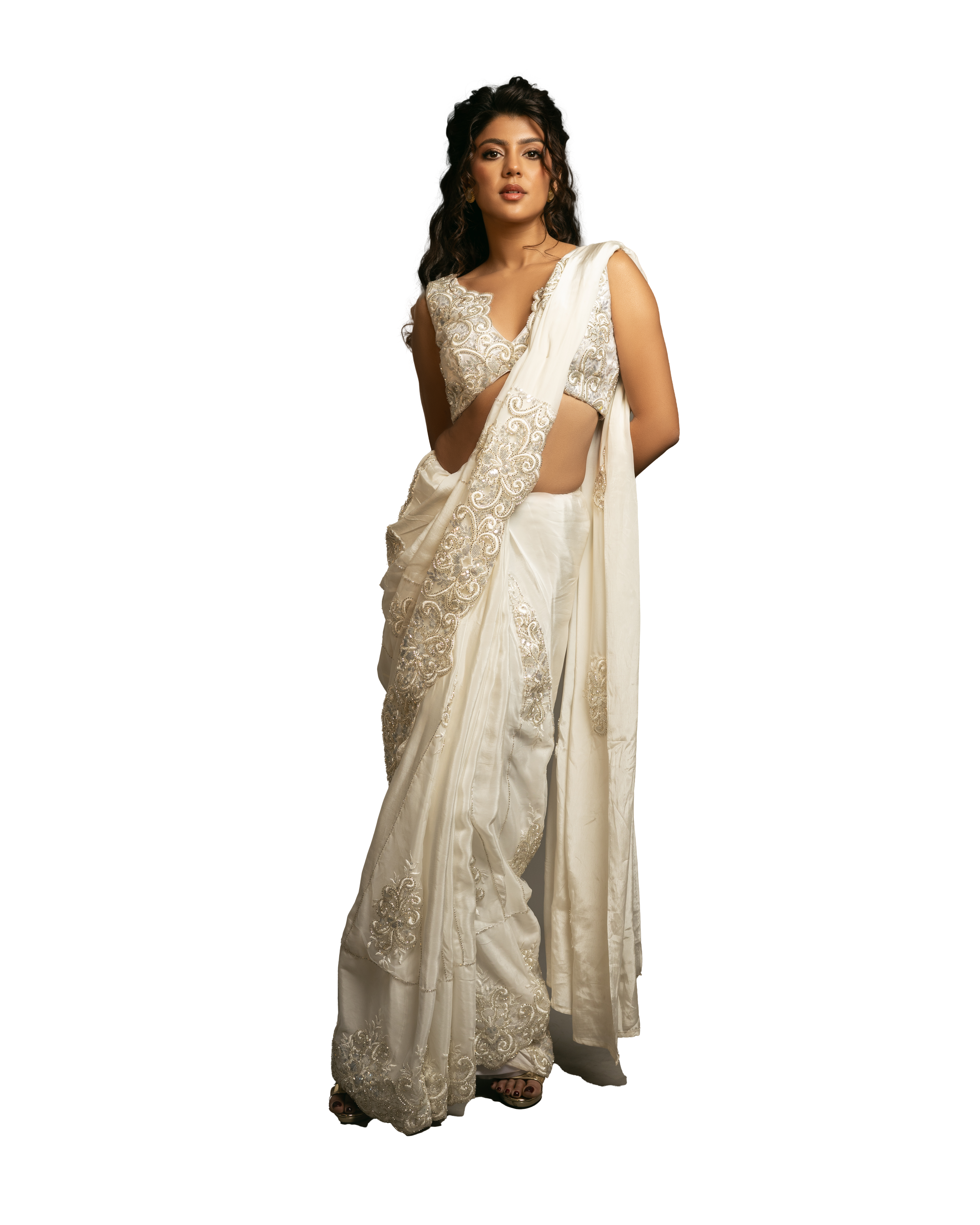 Embroidered Fishtail Saree